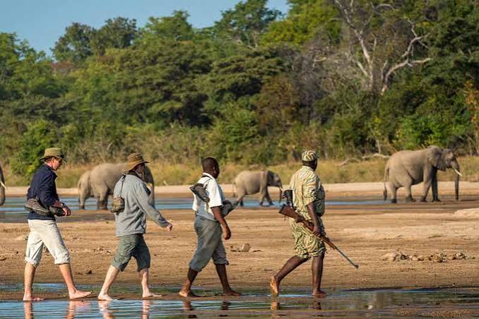 Photo Walk Africa Safari