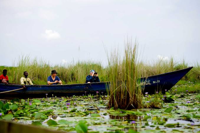 Swamp Canoe Uganda