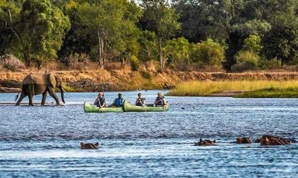 Kayak Hippo Safari Africa