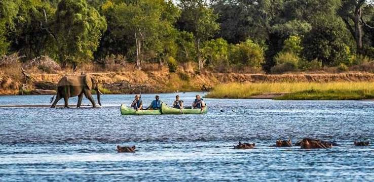 Kayak Hippo Safari Africa