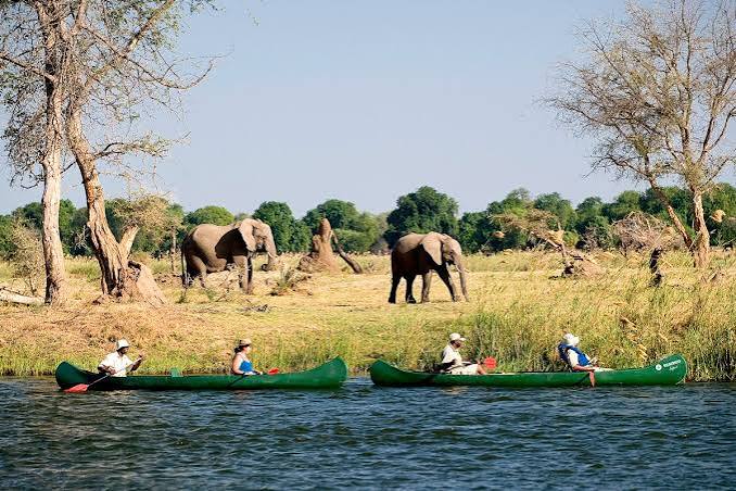 Canoe Game Viewing Africa