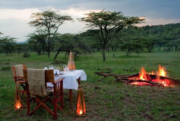 Bush Dinner Africa