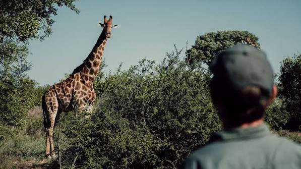 Animal Tracking Skills Africa