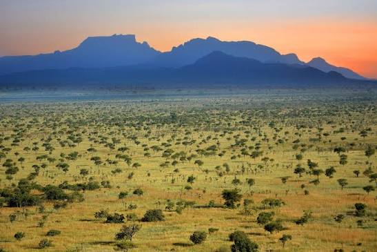 Pian Upe Reserve