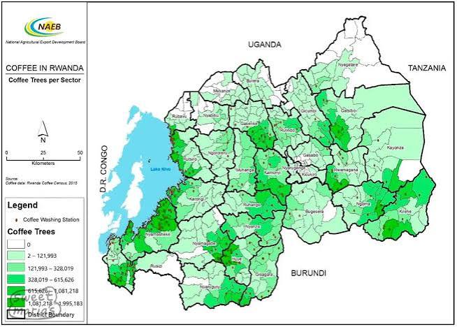 Rwanda Coffee Regions