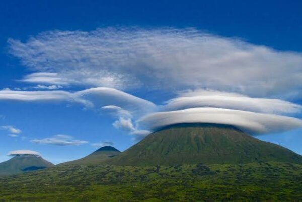 Karisimbi Volcano Hike