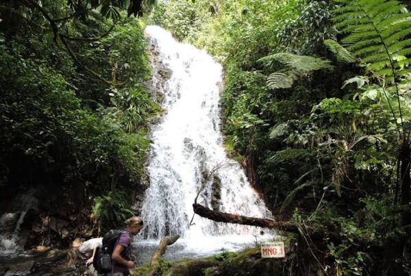Uganda Waterfall Hikes