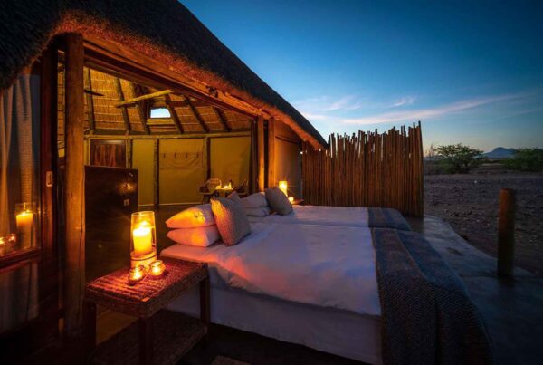 Star Bed Experience Africa