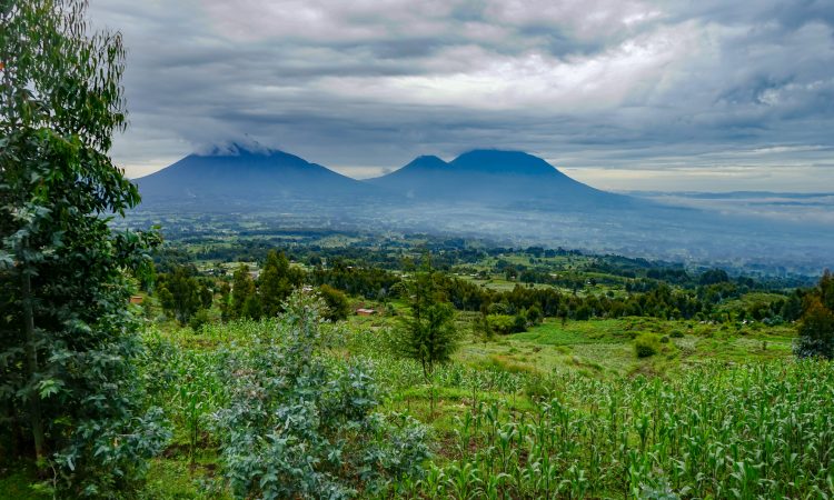 Rwanda Cloud Forest